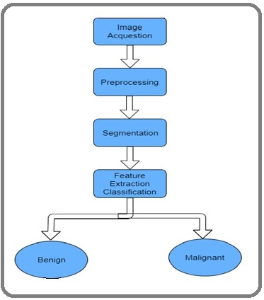 Reviewing the Role of Artificial Intelligence in Cancer